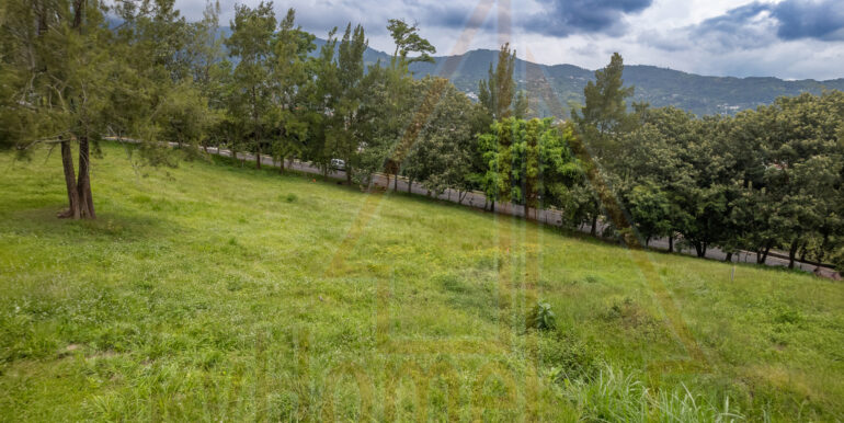 DJI_0039